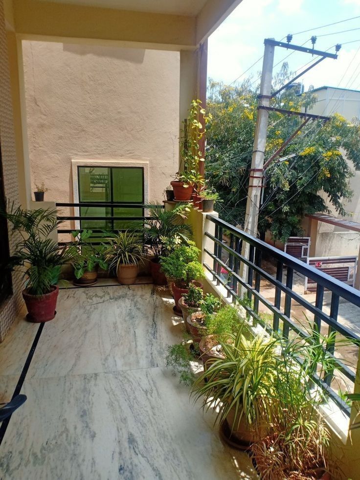 A Green Angan customer's balcony garden in Sector 102, Gurgaon, lined with potted palms and foliage plants